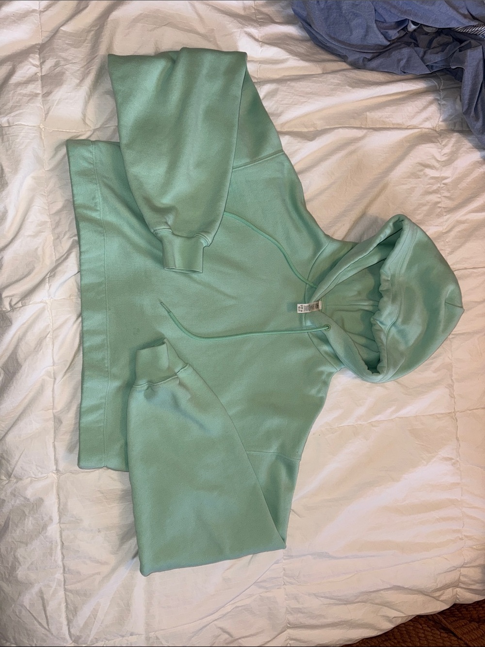 ALO Yoga Mint Green Cropped Hoodie